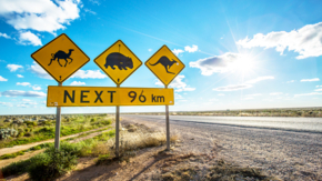 Australien Südaustralien Eyre Highway Nullarbor Foto SATC Greg Snell